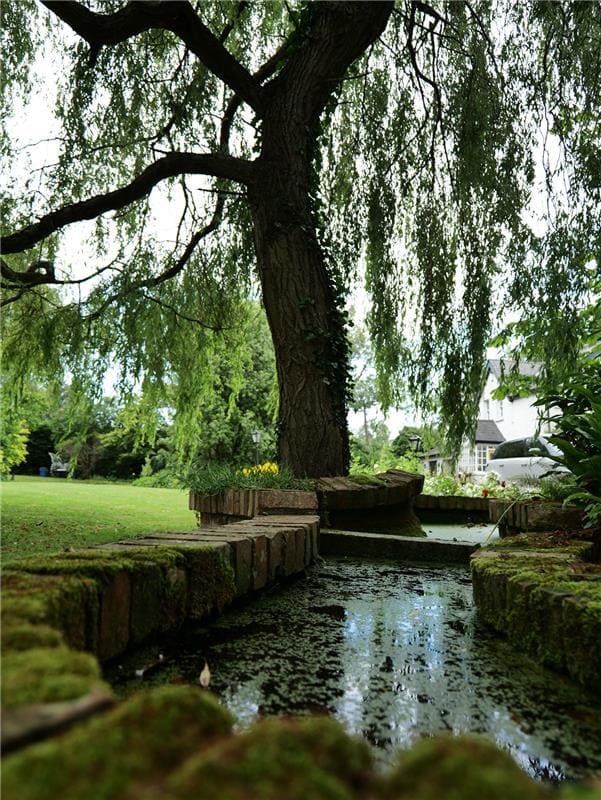 Compassionate courses